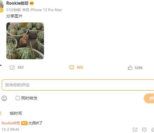 童瓜最新爆料,揭秘娱乐圈惊天大事件！