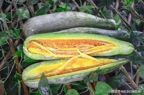 网红小鱼棠最新吃瓜,揭秘娱乐圈幕后真相  第2张 网红小鱼棠最新吃瓜,揭秘娱乐圈幕后真相  第2张