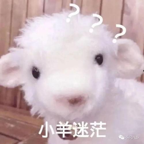 小羊前女友爆料视频播放,揭秘背后惊人真相 第2张 小羊前女友爆料视频播放,揭秘背后惊人真相 第2张